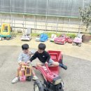 뜰가득한 | 경남 창녕 아이와 함께 피자만들기 체험놀이 표고버섯가득한 뜰