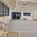 조이 애견 유치원 이미지