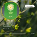 보라빛낭만펜션 민들레 Room 커플룸,미니패밀리룸 고객 리얼후기