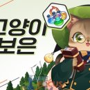버디PC 이미지