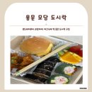 다인도시락 | [경기도/양평] 용문 수제 도시락 추천, 피크닉 소풍에 딱인 모담도시락 간식세트