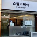 헤어스텔라 이미지