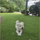 송계어린이공원 | 자연과 힐링, 모두 갖춘 제천가족펜션 참조은펜션에서 추억 만들기