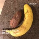 고촌 피티 운동 커브스 정원쌤의 바프 후기 및 당일팁