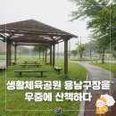 용남구장 이미지