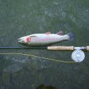 구만리낚시터 이미지