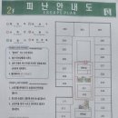 배배뷰티