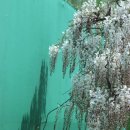 무안북중학교 이미지