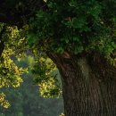 해운대 메디칼 이미지