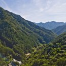 그린필로우 이미지