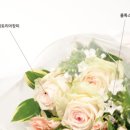 아이디플랜츠 이미지
