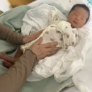 제왕로그 제왕절개 후기