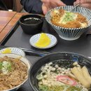 동경규동양천 | 목동 맛집 동경규동 우연히 들렸는데 맛있어서 놀람