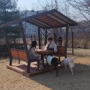 덕수공원반려견놀이터 이미지