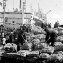 ★ 1951년~1961년 부산항에 양곡을 하역하는 선박 사진 ( 3 枚 ) 이미지