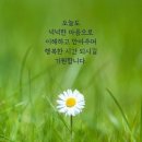 사노라면 이미지