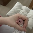 오늘은떡먹는날