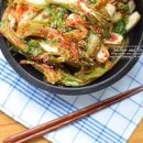 얼갈이 겉절이 만드는 법 단배추 간단 배추겉절이 만드는 법 이미지