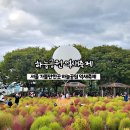 서울 억새축제 &#39;하늘공원&#39; 주차 포토존 볼거리 체험 후기