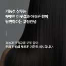 영일약국 | 르베르 샴푸, 연예인 미용실 제품이라길래 써봤습니다