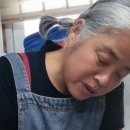 일부상신 이미지