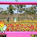 홍매원 이미지
