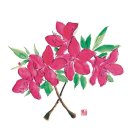 가평종합운동장 이미지