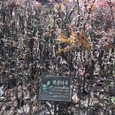 요지빌딩 이미지