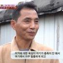 동물농장 이미지