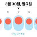 더블유워너비여성의원 이미지