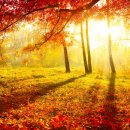 자유로카 이미지