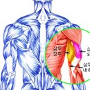 이클립스짐 이미지