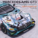 Mercedes Benz AMG-GT3 Evo 2019 Good Smile Racing 이미지