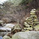 곡성-184 이미지