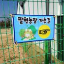 팔현농장 이미지