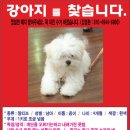 역삼초등학교 이미지