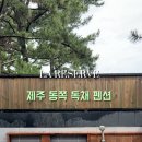 제주독채펜션 라리저브 감성펜션 이미지