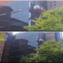 제일필름 이미지