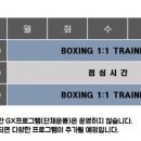 모던복싱 이미지