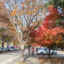 강산농장 이미지