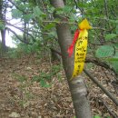 청벽가든 이미지