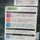 완도청소년 수련원 | ​[완도 여행] 국내 유일 난대림 완도수목원 완벽 가이드 입장료, 코스, 물고기 먹이주기 꿀팁까지