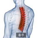 바른 피티(PT)생활 백석점 이미지