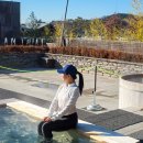 지중해건강랜드 | 국내 온천 여행 추천 아산 파라다이스 도고 물놀이 온수 수영장 할인