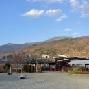 돌고래풀하우스 이미지