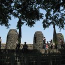 진순5호 이미지