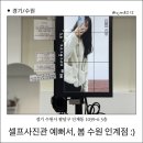 셀프사진관 예뻐서, 봄 수원 인계점 이미지