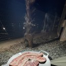 호두마루 캠핑 이미지