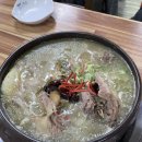 예일오리숲 이미지