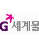 SG세계물산